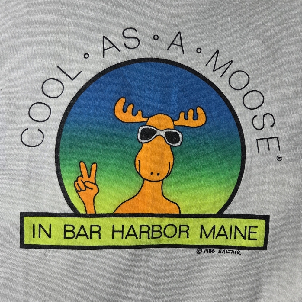 Vintage 1986 Bar Harbor Maine Tourist T-Shirt | Single Stitch Hanes Beefy-T USA